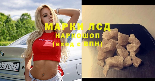 стафф Аркадак