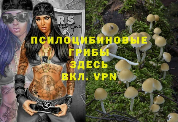 стафф Аркадак